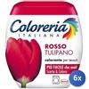 Coloreria italiana 6x Bundle Coloreria Colorante Tessuti Rosso