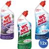 Wc Net 12x Bundle Wc Net Bagno 700 Ml. Profumoso Gel MISTO FRAFRANZA