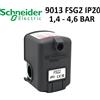 Schneider Electric Industries Pressostato per elettropompa autoclave nuovo modello Square 9013FSG2 1,4-4,6 bar