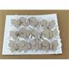 Subitodisponibile 12 PEZZI Farfalla media 3 cm adesiva SALVIA in tessuto DECORAZIONE BOMBO 0C3U