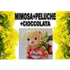 gfg MIMOSA + SUPER ORSETTO CIOCCOLATA festa della donna IDEA REGALO X AMORE ORSO