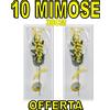 Auguri 10 PZ RAMETTO MIMOSE FESTA DELLA DONNA MIMOSA idea regalo decorazioni 8 Marzo