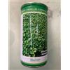 Blumen Semi Prato Dichondra Repens Gr 500
