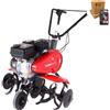 Pubert Aro 55 P C3 - Motozappa a Scoppio Professionale 209 cc