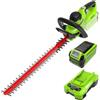 GreenWorks G40HT61K2 Tagliasiepi a Batteria, Lame a Doppia Azione Da 61Cm, Taglia Rami E St