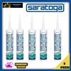 Saratoga SILICONE TRASPARENTE BIANCO ANTIMUFFA ACETICO CARTUCCIA SARATOGA 5 PZ SIGILLANTE