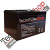 Tecnobike Shop BATTERIA PER VEICOLI A MOTORE AGM 6-DZM-16 12V 14AH CICLICA A PIOMBO GEL T2