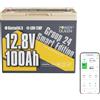 Power Queen 12V100Ah Bluetooth Gruppo24 Batteria al litio LiFePO4 Energia 1280Wh