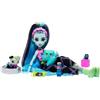MATTEL BOX ROTTO Monster High Bambola FRANKIE STEIN Con Cucciolo CREEPOVER PARTY HKY68