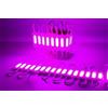 X3 MODULI LED 24V ROSA 2W DECORAZIONE CAMION RIMORCHI BUS SPIE LUCI INGOMBRO