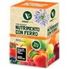 VERDEVIVO Sequestrene Concime NK138Fe in Granuli Solubili 100 gr (Busta Singola)