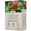Copyr Fortyl IRONITE Esca lumachicida Fosfato ferrico biologico orto 1 KG