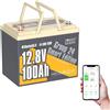 POWERQUEEN Power Queen Batteria LiFePO4 12V/24V 300Ah 200Ah 100Ah 50Ah, Bluetooth Batteria