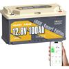 POWERQUEEN Power Queen Batteria LiFePO4 12V/24V 300Ah 200Ah 100Ah 50Ah, Bluetooth Batteria