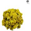 AgoraMarket Fiori essiccati di Elicriso - Immortelle - 460 grammi - Alta Qualità