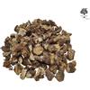 AgoraMarket Radice Essiccata Tagliata di Tarassaco - 460 grammi - Taraxacum officinale