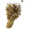 AgoraMarket Menta Mentuccia Essiccata Mazzetto 460g Raccolta 2025 Mentha Pulegium