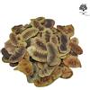 AgoraMarket Tisana Secca in Cialde di Senna 460g Qualità Premium Senna Alexandrina