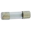 Velleman Fusibile 5 x 20 mm rapido 2,5 A (10 pezzi/scatola).