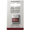 Winsor & Newton Professional - Vernici ad acquerello, vivaci e resistenti alla luce, pigmenti per artisti, 1/2 GODET, colore: Viola Di Perilene