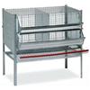 GABBIA PER GALLINE OVAIOLE DA 4 O 6 POSTI LUNGHEZZA 80 CM - 2 SCOMPARTI