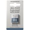 Winsor & Newton Professional - Vernici ad acquerello, vivaci e resistenti alla luce, pigmenti per artisti, 1/2 GODET, colore: Grigio Di Payne