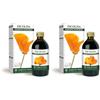 Dr Giorgini Dr. Giorgini Integratore Alimentare, Escolzia Estratto Integrale Liquido Analcoolico - 200 ml (Confezione da 2)