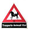 Tattini cartello trasporto animali vivi triangolare plastica per van