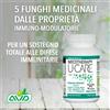 Avd Reform Micotherapy U-Care N.70 Capsule sostegno totale sistema immunitario difese