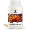 Dxn CAPSULE REISHI/GANODERMA LUCIDUM BIOLOGICO BENESSERE ORGANISMO ANTIOSSIDANTI N90