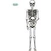 Widmann Scheletro Sagomato Movibile Di Carta per Decorazioni Halloween 150cm