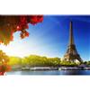 Partylandia Cialda Parigi Tour Eiffel Francia Citta' Panorama Ostia Decorazioni Torte Eventi