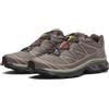 Salomon L47732600 Salomon XT-6 GORE-TEX Iron Etherea Seagrass (uomo)