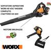 WORX WG583E SOFFIATORE ASPIRATORE 40VOLT COMPLETO DI 2 BATTERIE 4AH