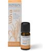 Nasoterapia - Sinergia Oli Essenziali Puri per diffusore - Attiva - 10 ml
