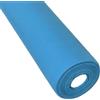 Subitodisponibile Bobina TNT CELESTE 80 cm x 20 metri 60 gr. 17WR