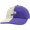 Supreme The North Face Split 6 pannelli marrone chiaro