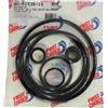 First Choice Primo Scelta GO-KIT38-14 PAC FAB Challenger Kit Riparazione Pompa GOKIT3814