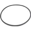 Pentair Guarnizione O-Ring Pentair 357099Z Per Pentair Sta-Rite MaxEPro, IntelliPro