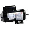 Gecko 93526151 2.5HP 230V Motore Per Pompa A 2 Velocità 48-Frame T55MWCAS-1179