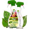 Albagarden Spruzit - PIRETRO Insetticida Piante Naturale - Contro Cocciniglia, Afidi, Ragnetto Rosso, Coleotteri, Popilia Japonica - Insetticida per Rose e Piante Ornamentali - Spray 500 ml
