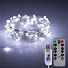 Pan SRL Serie luci Natale a led catena USB Microled Bianco freddo filo rame Telecomando