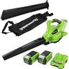 Greenworks Aspiratore Soffiatore a Batteria per Foglie GD40BV,Tagliabordi a Batteria 40V Taglio 33cm G40LT33 con 2 Batteria 2Ah e Caricatore