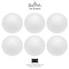 Rosenthal - Tac Gropius - Set 6 Piatti Piani cm 28 - Rivenditore