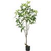 Zstar Albero di denaro artificiale, grande pianta artificiale in vaso con rami di foglie realistici, grande albero di denaro artificiale come decorazione moderna per ufficio, casa, interni ed esterni