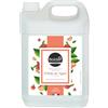 BOLDAIR - Detergente per mani pesca di vite - Formula detergente, idratante e ammorbidente - 5L - Produzione francese