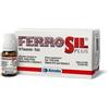 BIOTRADING Srl UNIPERSONALE Ferrosil plus 10 flaconcini