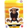 Vignetta Autocollante CORA N° 52/112 - MASON - Madagascar ... (5500)