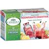 L'Angelica Angelica Tisana Fredda Sgonfiante Digestiva Limone Fragola Zenzero 18 filtri