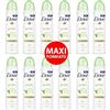 Dove 12pz Deodorante Dove Go Fresh Cetriolo e Tè Verde maxi formato spray 250ml